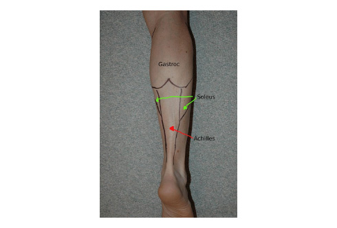 How to Massage a Tight Calf Muscle — Spa Theory
